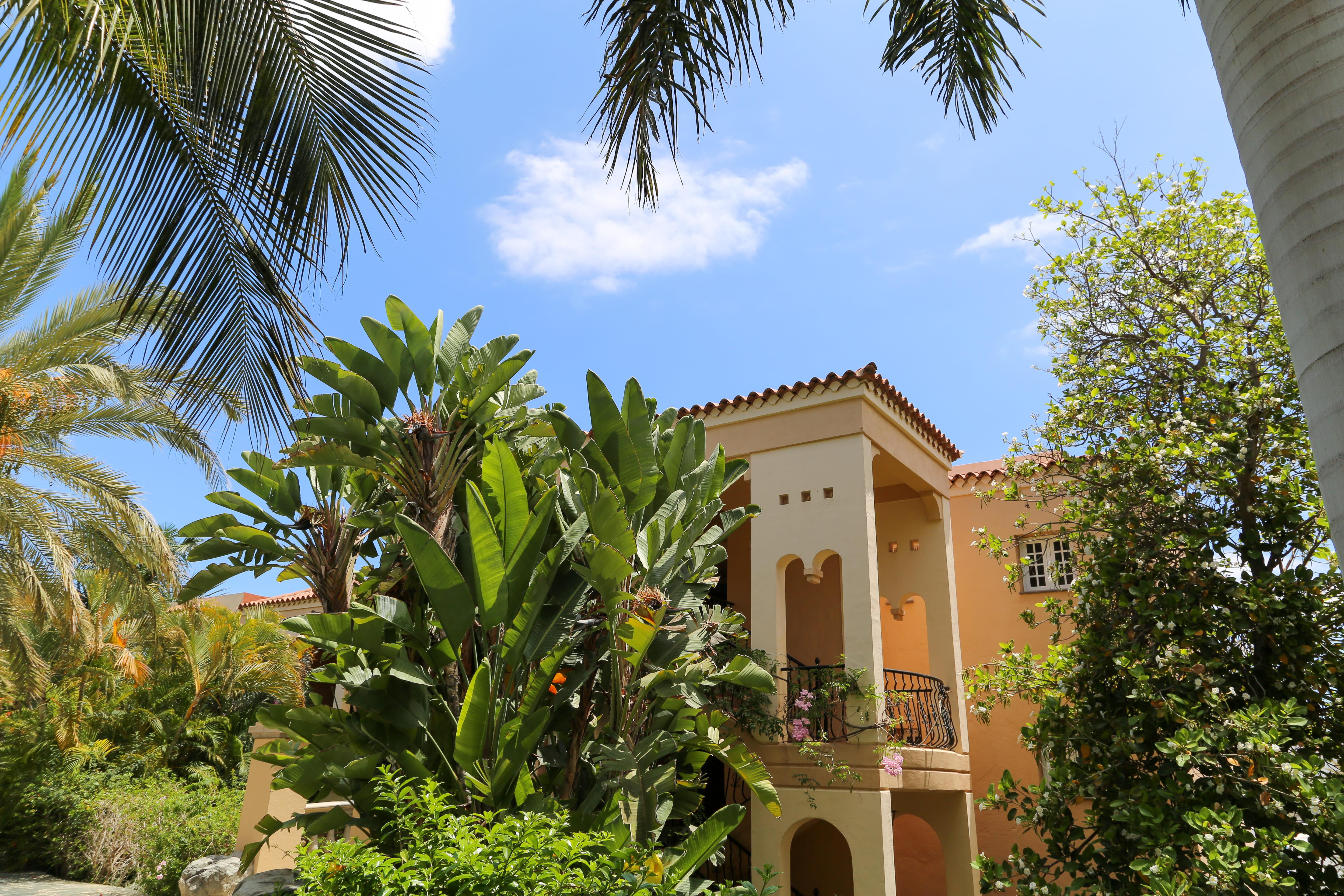 Hotel Palm Oasis Maspalomas Maspalomas  Esterno foto